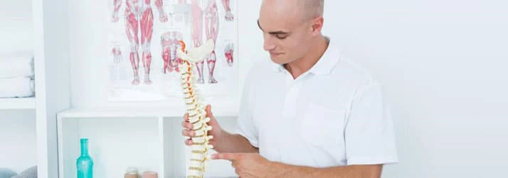 Chiropractic Mountlake Terrace WA Doctor with Spine